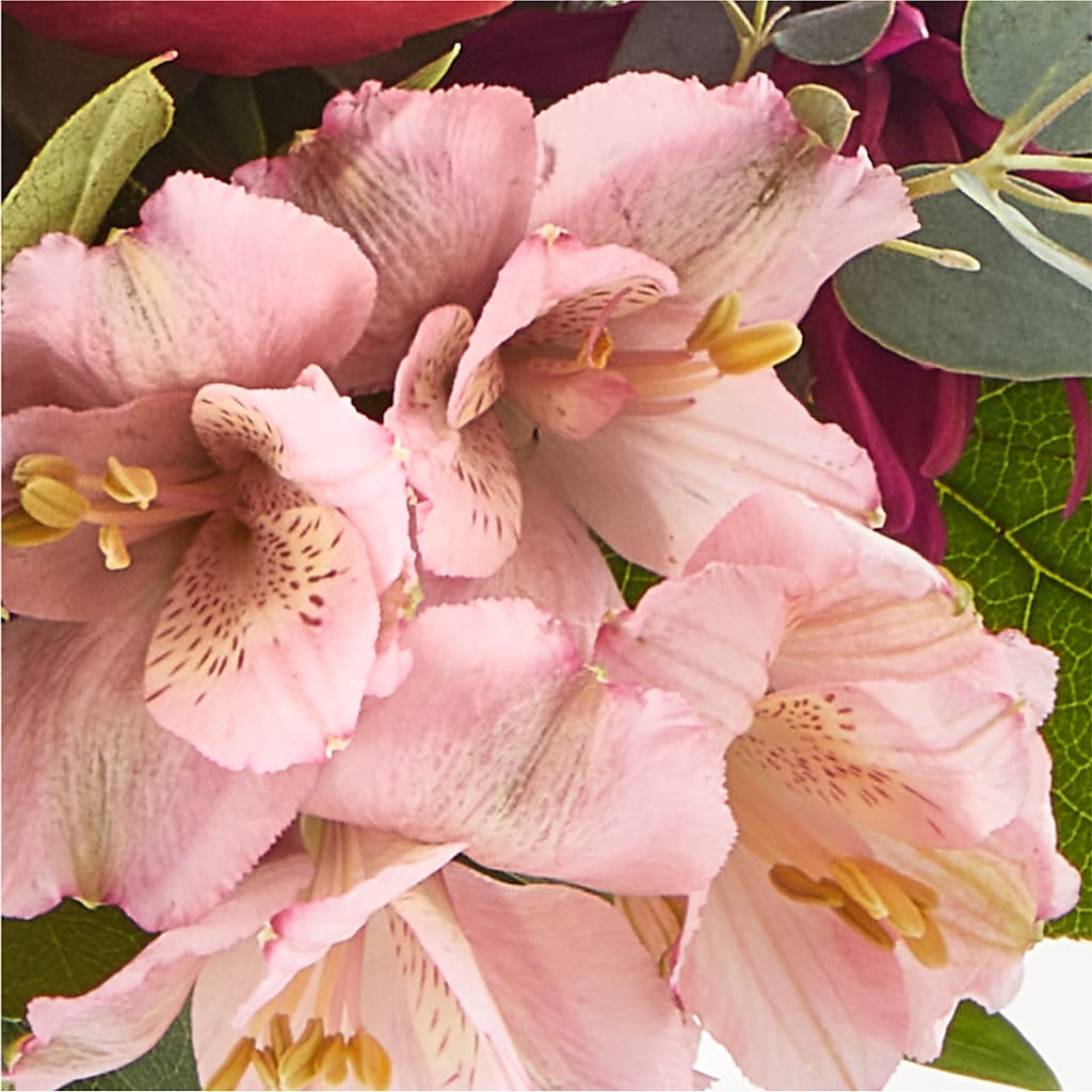 Berry Cobbler Bouquet –  Heavenly Plants, Regina SK