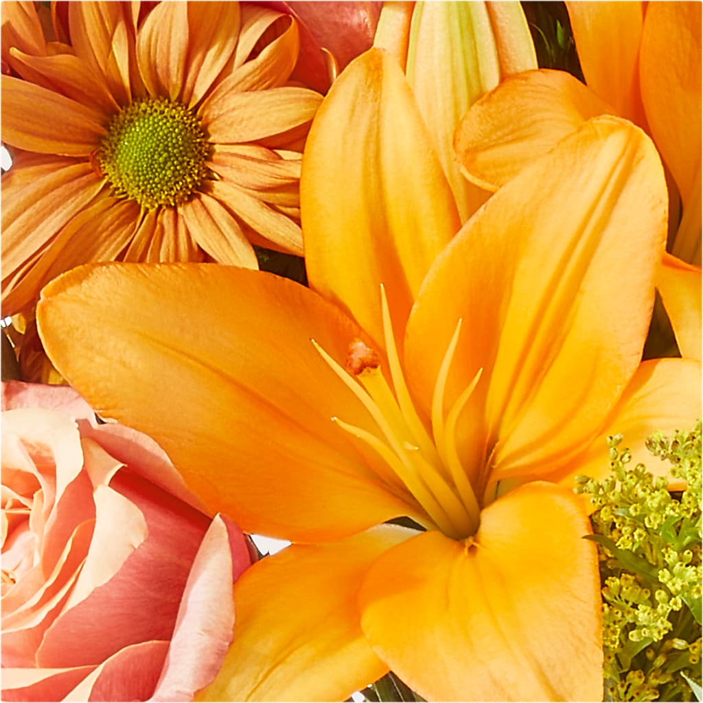 Harvest Hayride Bouquet –  Heavenly Plants, Regina SK