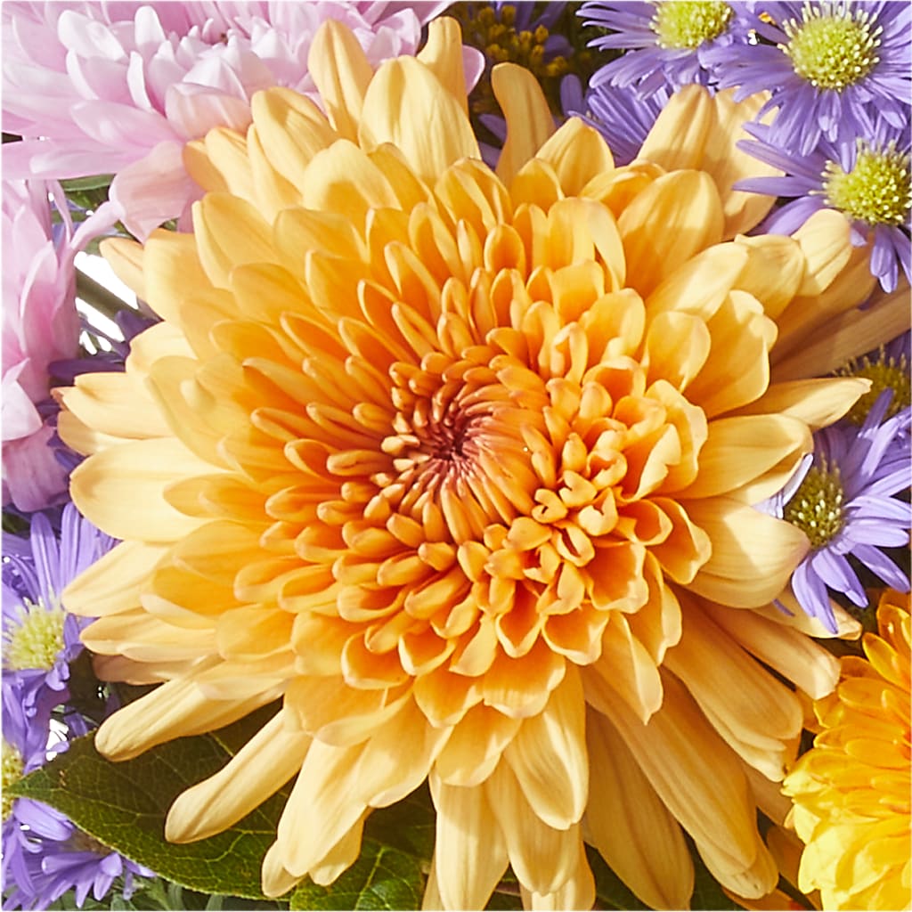 Countryside Bouquet –  Heavenly Plants, Regina SK