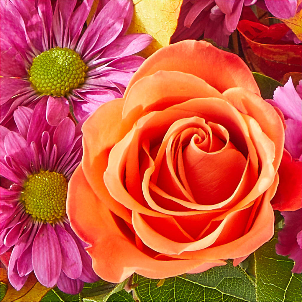 Mum's the Word Bouquet –  Heavenly Plants, Regina SK
