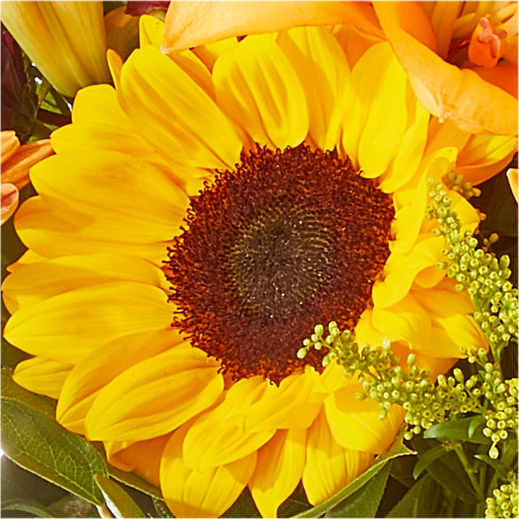 Seasons Change Bouquet –  Heavenly Plants, Regina SK