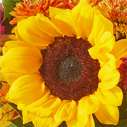 Sunny Side Bouquet –  Heavenly Plants, Regina SK
