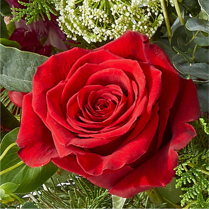 Cranberry Fizz Bouquet –  Heavenly Plants, Regina SK