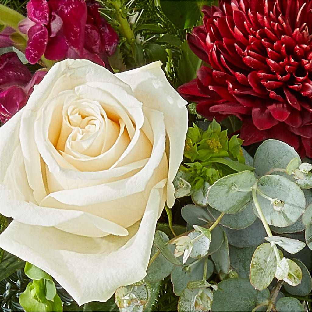 Cranberry Fizz Bouquet –  Heavenly Plants, Regina SK