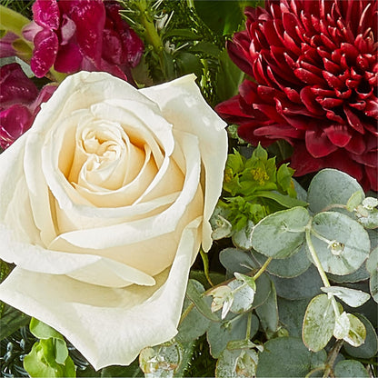Cranberry Fizz Bouquet –  Heavenly Plants, Regina SK