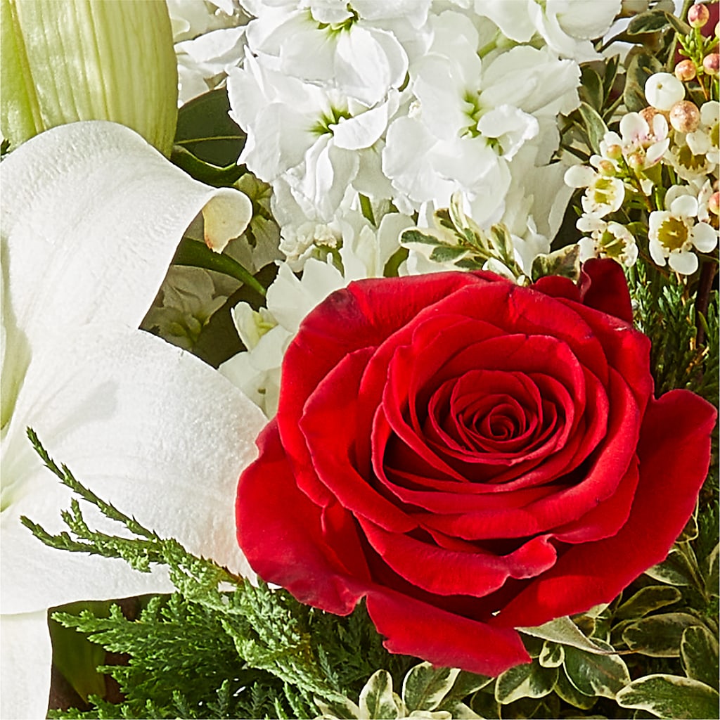 Twinkle Lights Bouquet –  Heavenly Plants, Regina SK