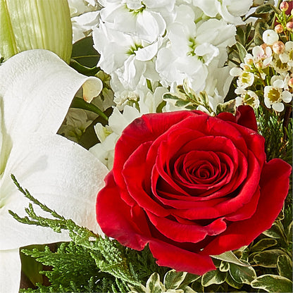 Twinkle Lights Bouquet –  Heavenly Plants, Regina SK