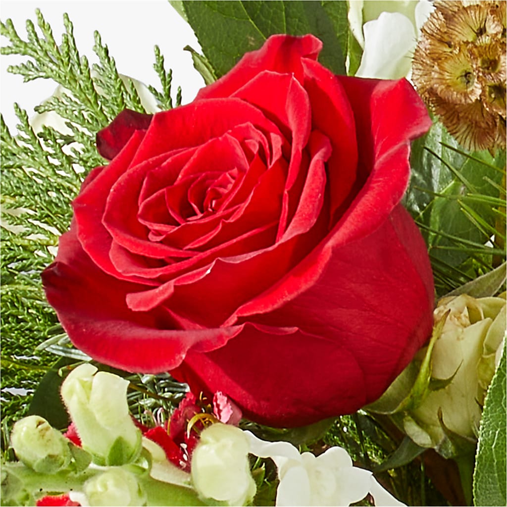 Deck the Halls Bouquet –  Heavenly Plants, Regina SK