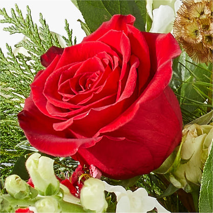 Deck the Halls Bouquet –  Heavenly Plants, Regina SK