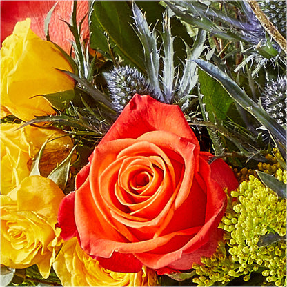 Disco Bouquet –  Heavenly Plants, Regina SK