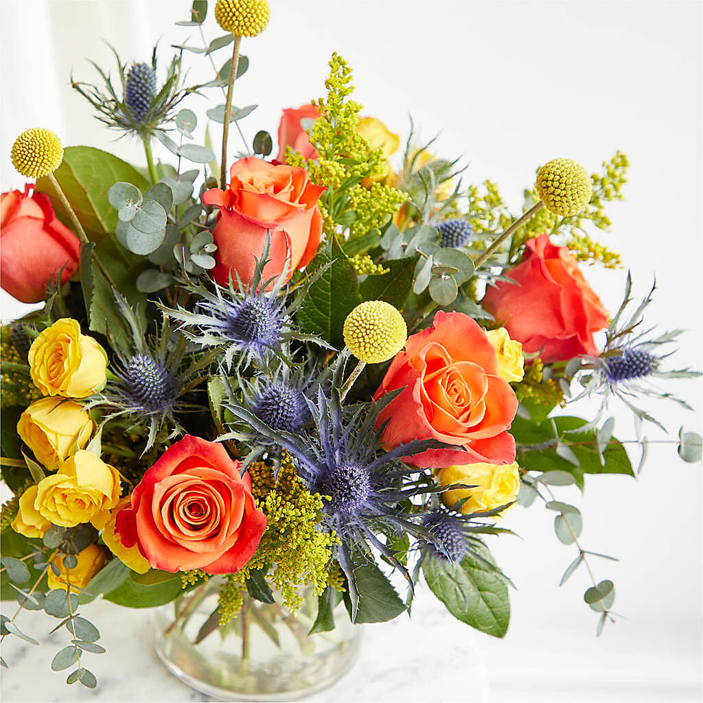 Disco Bouquet –  Heavenly Plants, Regina SK