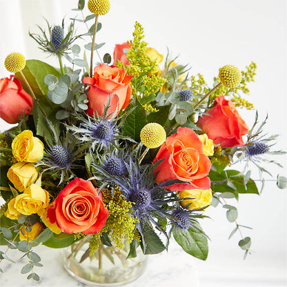 Disco Bouquet –  Heavenly Plants, Regina SK