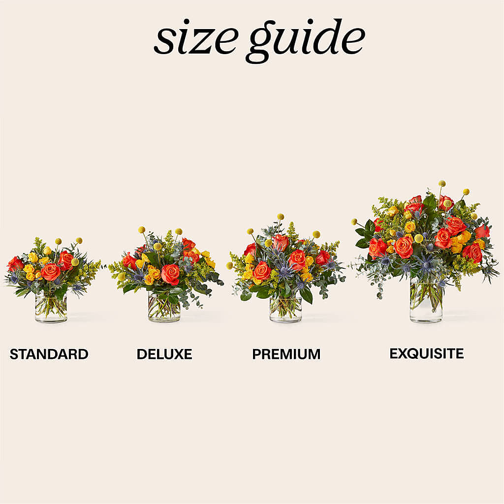 Disco Bouquet –  Heavenly Plants, Regina SK