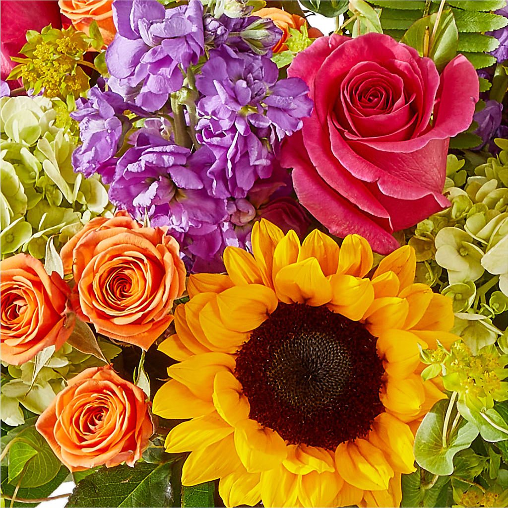 Vibrant Greetings Bouquet –  Heavenly Plants, Regina SK