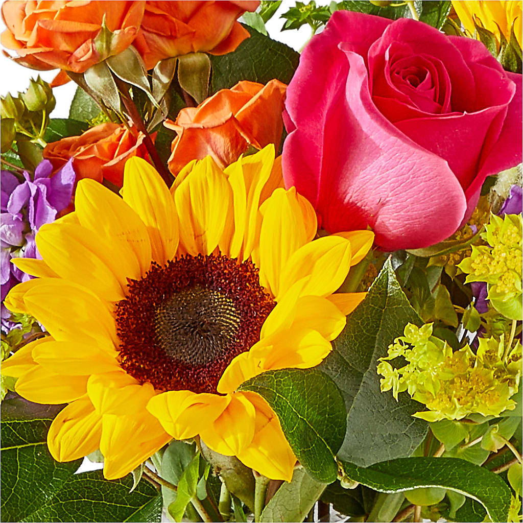 Vibrant Greetings Bouquet –  Heavenly Plants, Regina SK