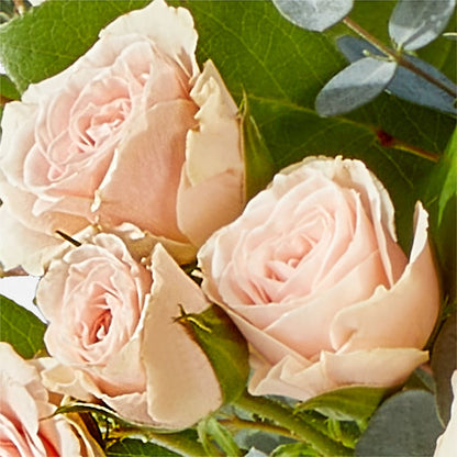 Inspired Bouquet –  Heavenly Plants, Regina SK