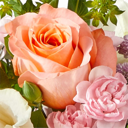 French Market Bouquet –  Heavenly Plants, Regina SK