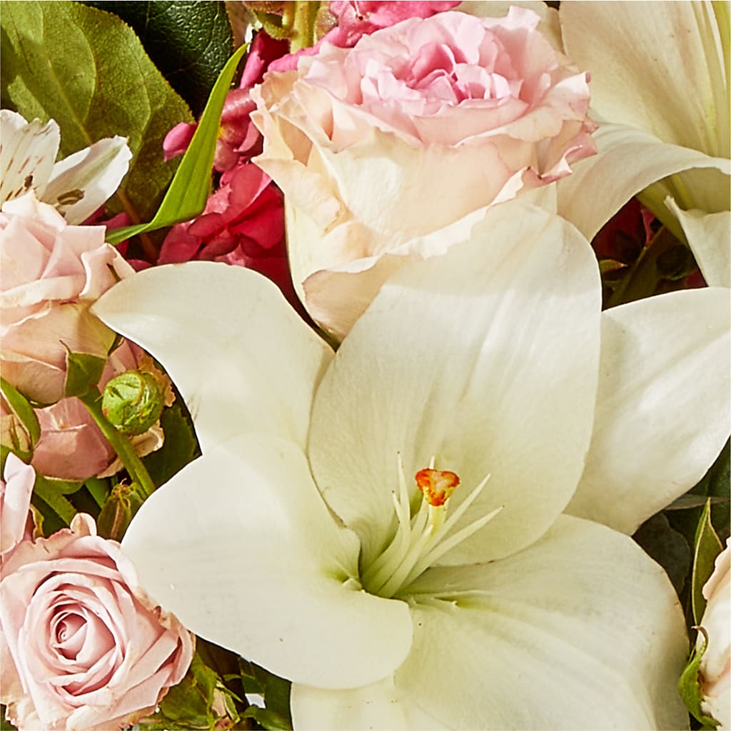 Ballet Slippers Bouquet –  Heavenly Plants, Regina SK
