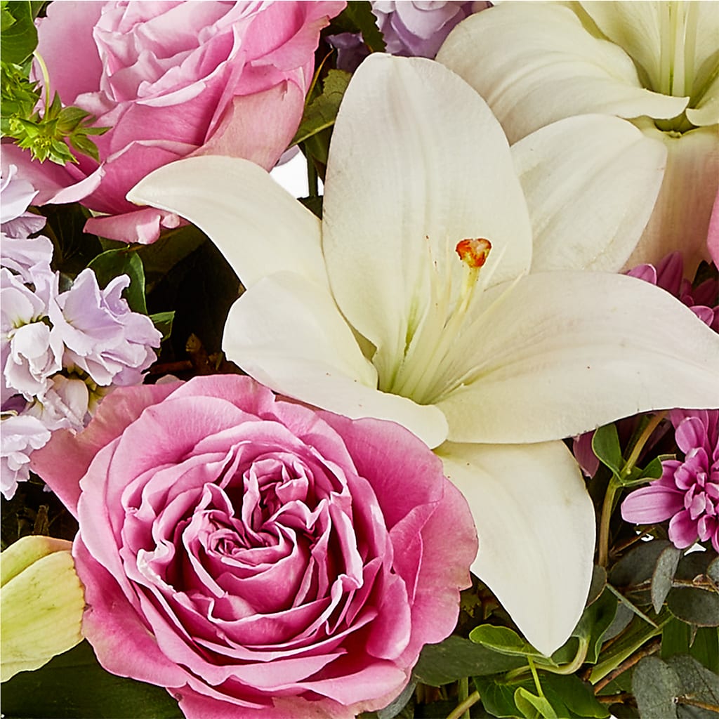 Daydreamer Bouquet –  Heavenly Plants, Regina SK
