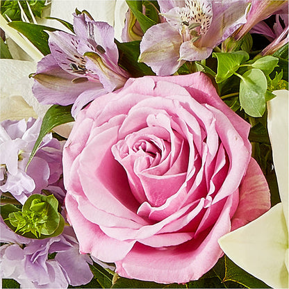 Daydreamer Bouquet –  Heavenly Plants, Regina SK