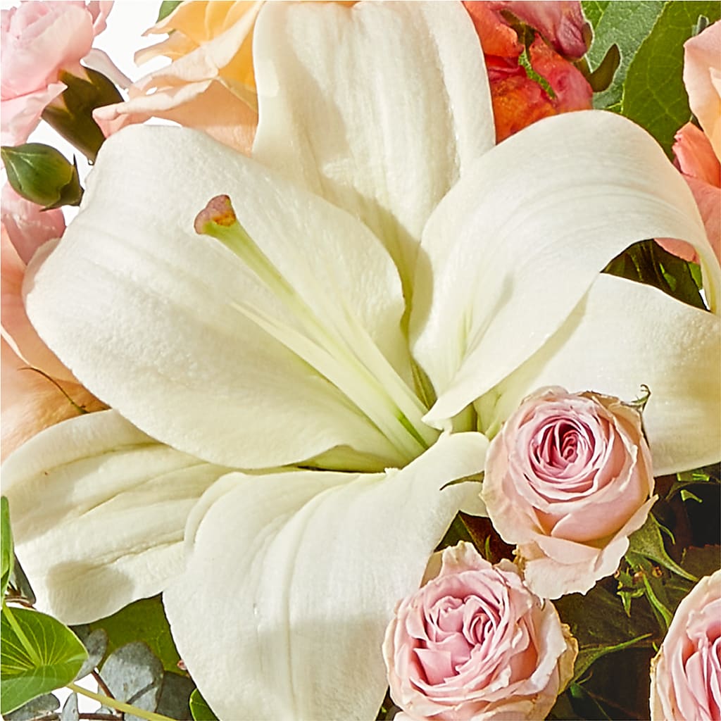 Grapefruit Splash Bouquet –  Heavenly Plants, Regina SK