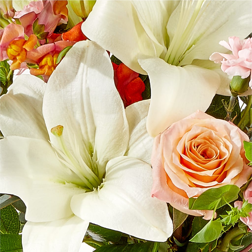 Grapefruit Splash Bouquet –  Heavenly Plants, Regina SK
