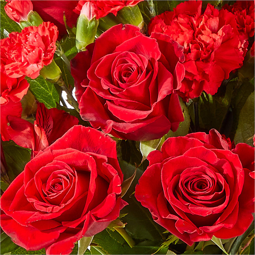 The Heartstrings Bouquet –  Heavenly Plants, Regina SK