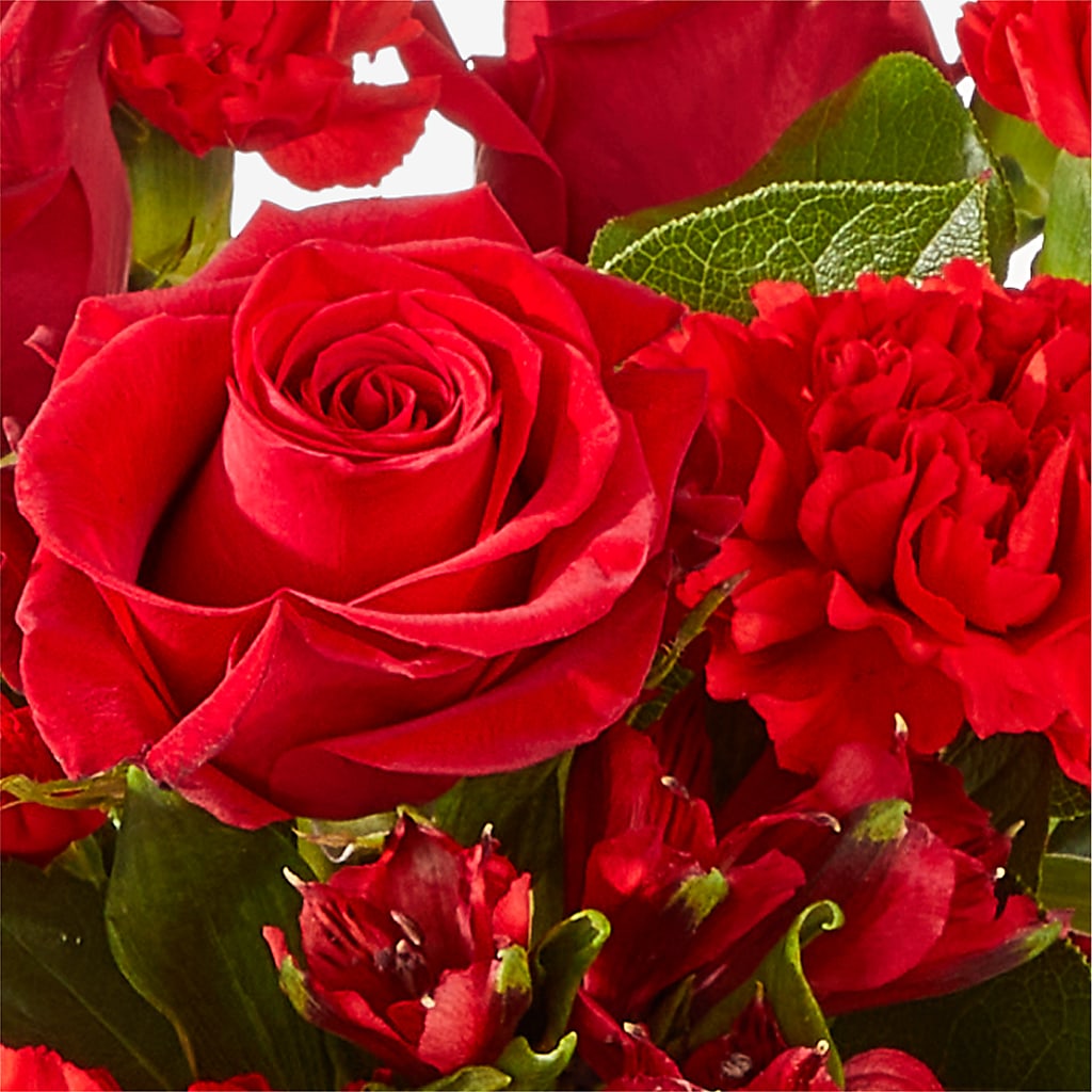 The Heartstrings Bouquet –  Heavenly Plants, Regina SK