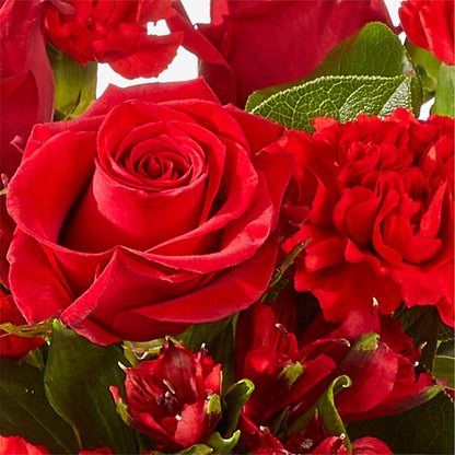 The Heartstrings Bouquet –  Heavenly Plants, Regina SK