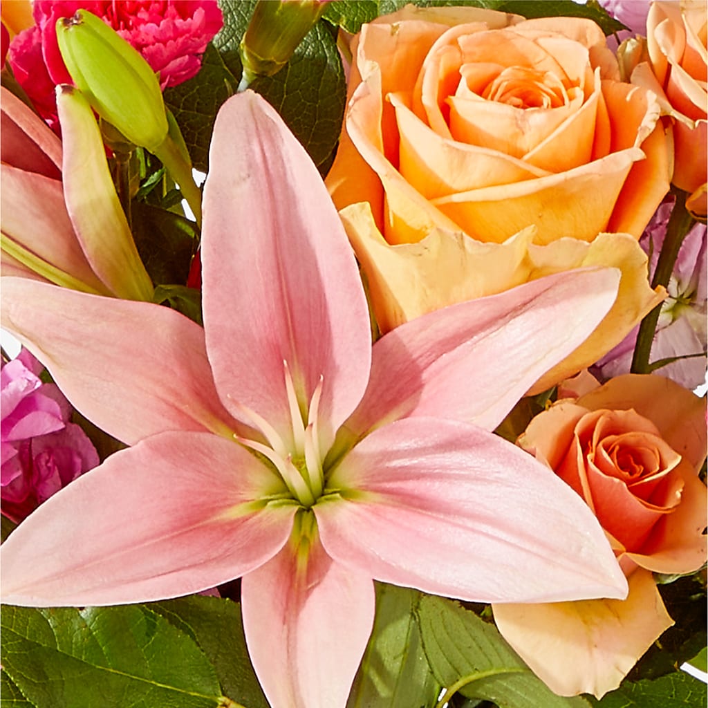 Bisous Bouquet –  Heavenly Plants, Regina SK