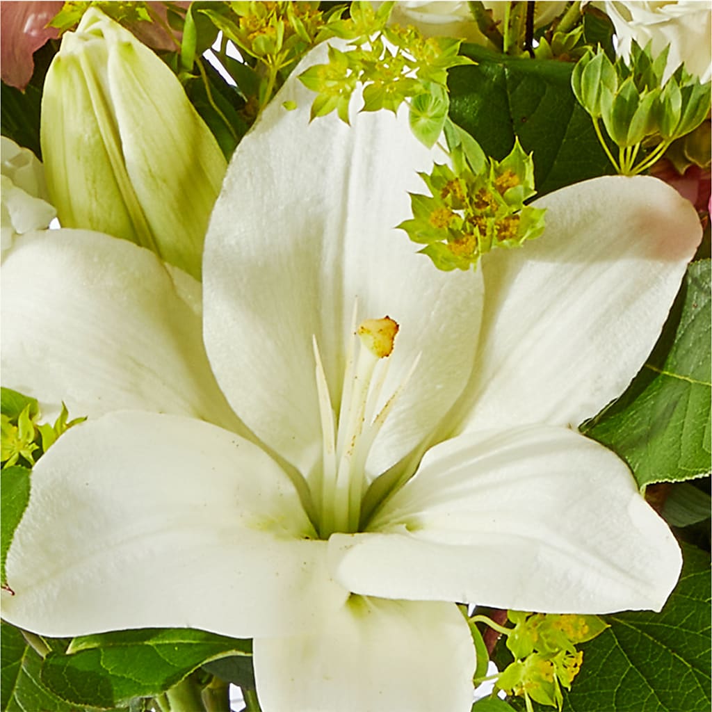 Fondly Bouquet –  Heavenly Plants, Regina SK