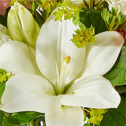 Fondly Bouquet –  Heavenly Plants, Regina SK