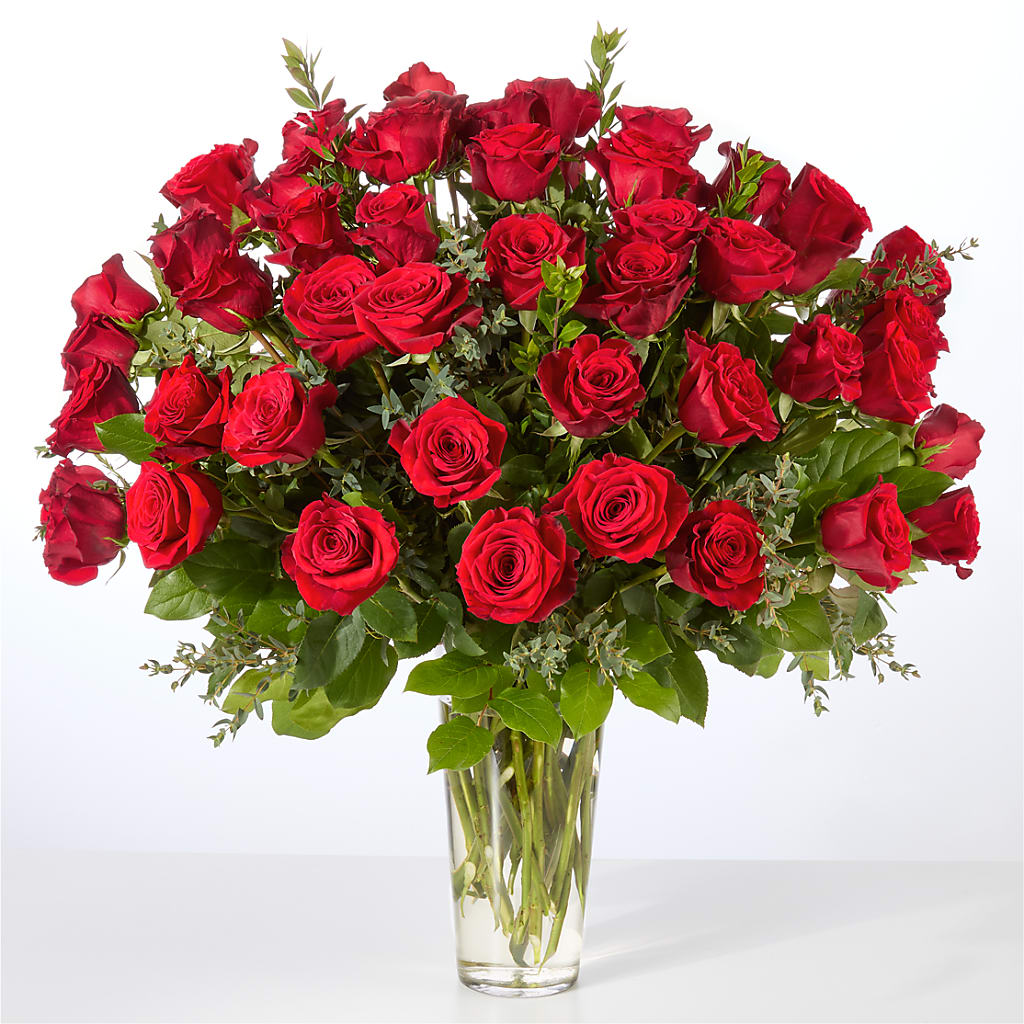 Forever Yours Fifty Stem Red Rose Bouquet –  Heavenly Plants, Regina SK