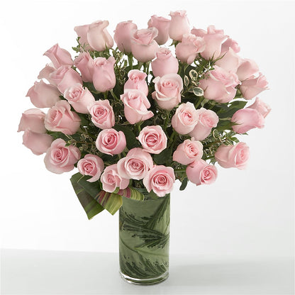 Pink Essence –  Heavenly Plants, Regina SK
