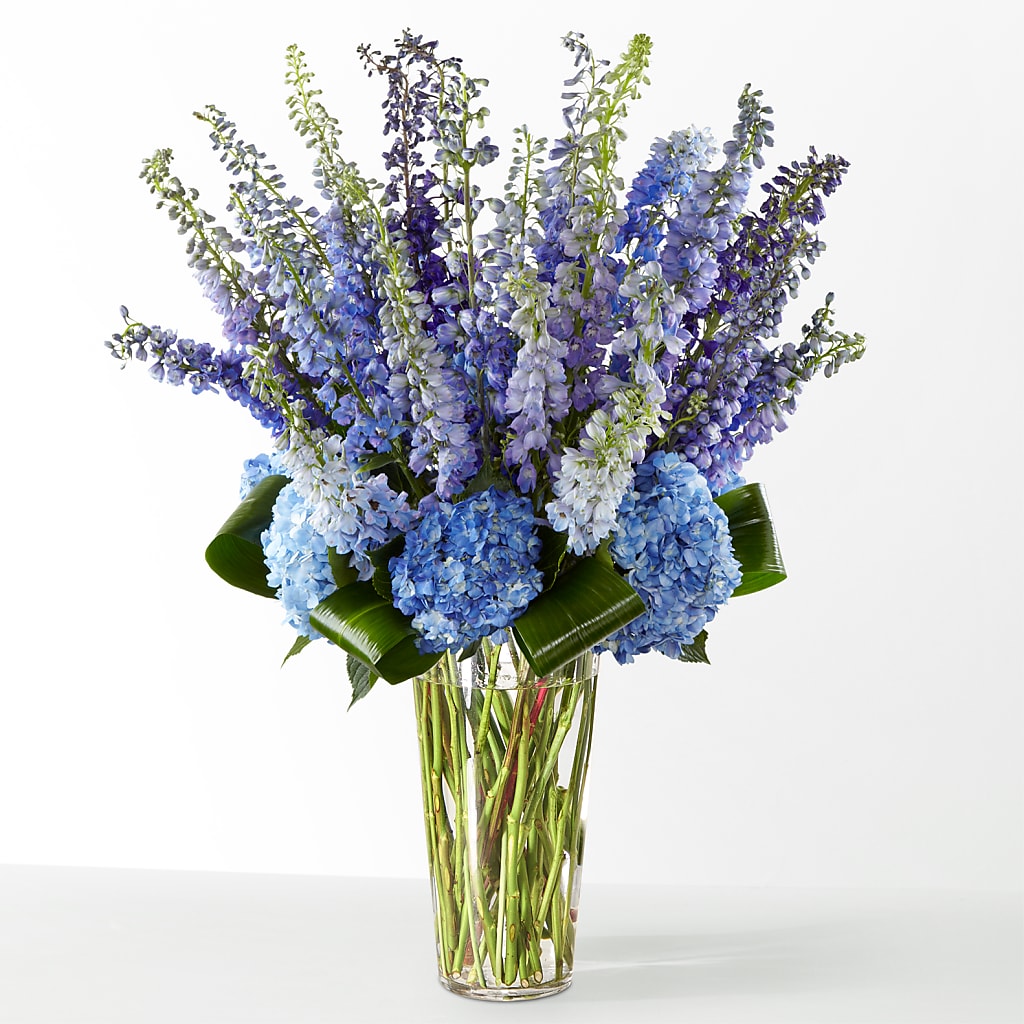 The Editorial –  Heavenly Plants, Regina SK