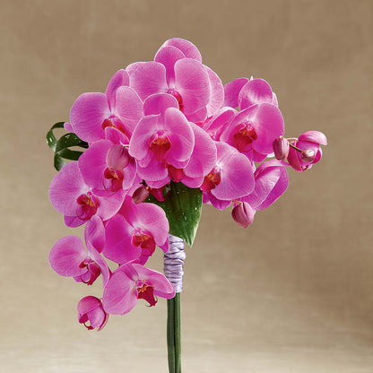 Glorious Bouquet –  Heavenly Plants, Regina SK
