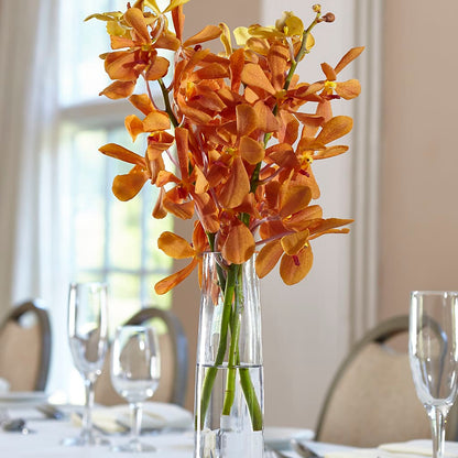 Orange Mokara Bud Vase –  Heavenly Plants, Regina SK