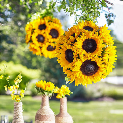 Sublime Garden Hanging Arrangement –  Heavenly Plants, Regina SK