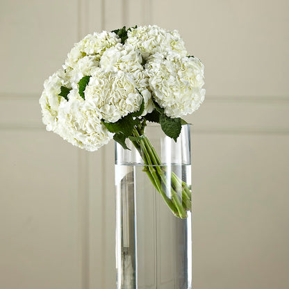 White Hydrangea Hand-Tied Bouquet –  Heavenly Plants, Regina SK