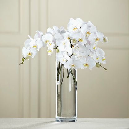 White Phalaenopsis Bouquet –  Heavenly Plants, Regina SK