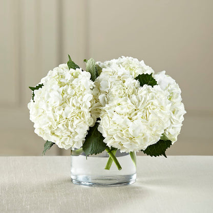 White Hydrangea Bouquet –  Heavenly Plants, Regina SK