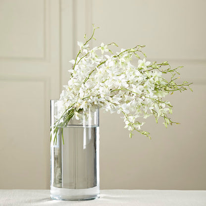 White Dendrobium Bouquet –  Heavenly Plants, Regina SK
