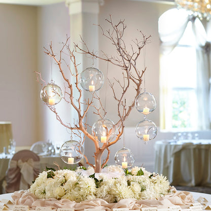 Secret Garden Arrangement –  Heavenly Plants, Regina SK